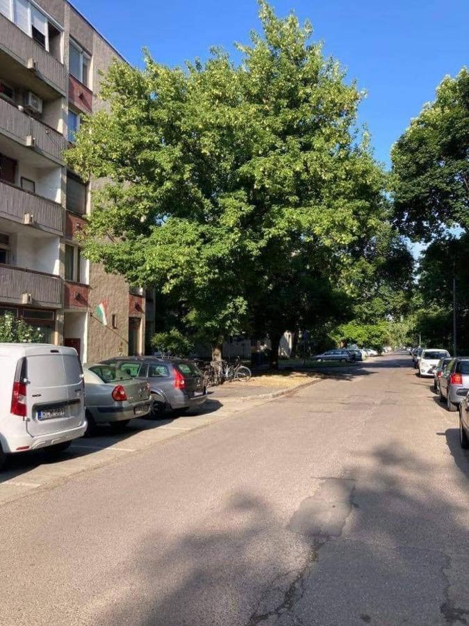 Hódmezővásárhely Kertvaros24 Apartman المظهر الخارجي الصورة